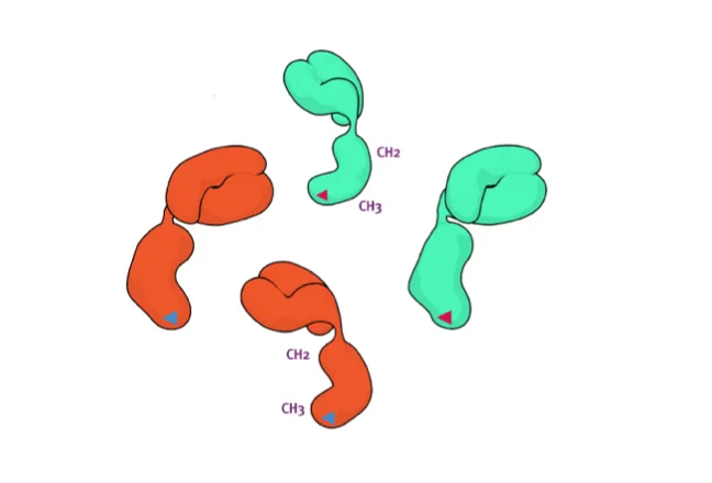 Unique Technology Platforms For Developing Antibody Medicines | Genmab US