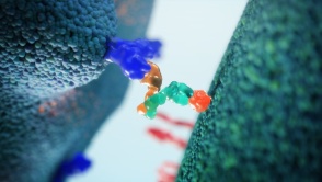 Unique Technology Platforms For Developing Antibody Medicines | Genmab US